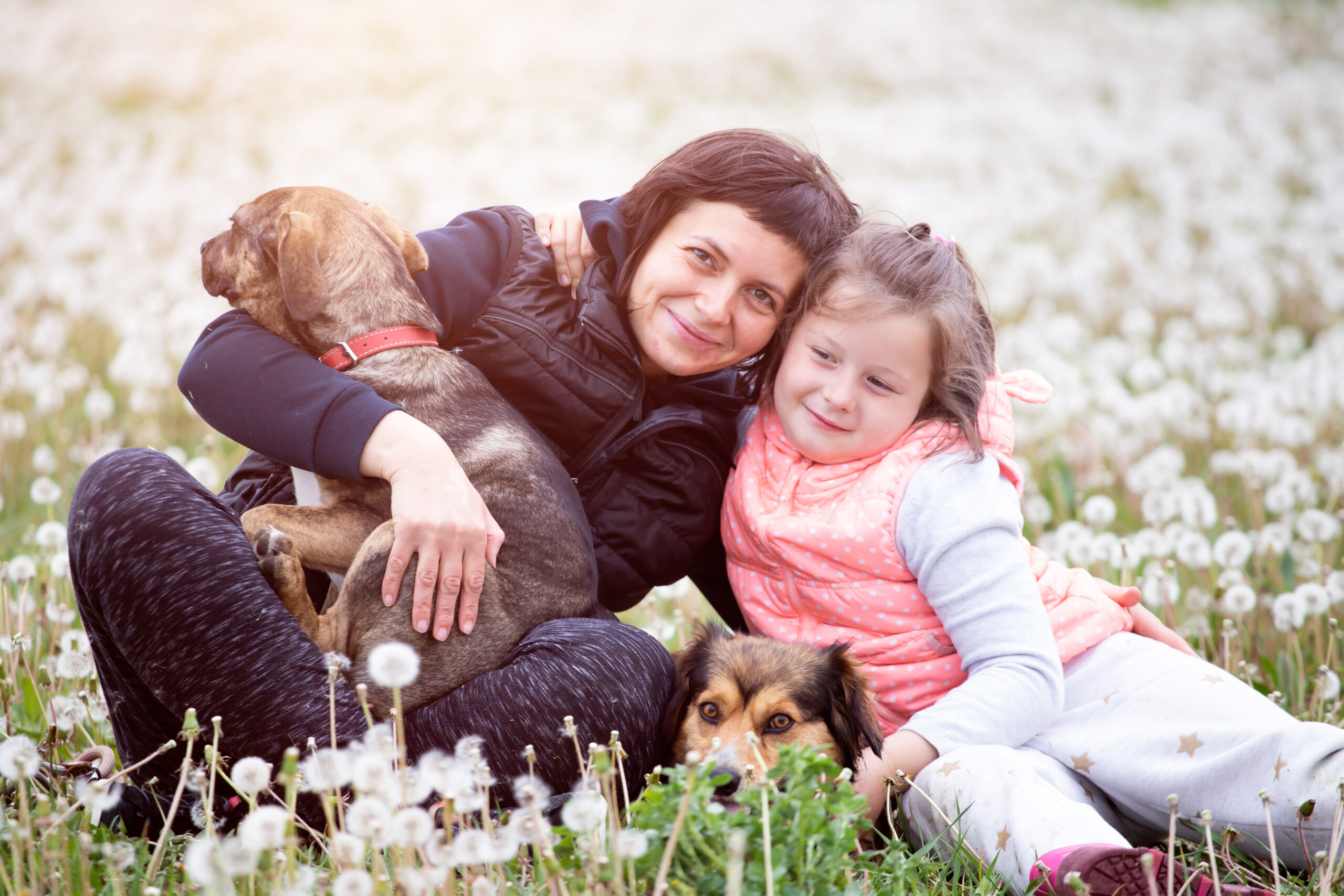 mother starting suboxone and sitting with daughter and dog in a field